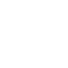 icon (1).png