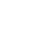 icon (2).png
